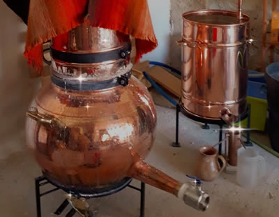 1ère distillation de l’année