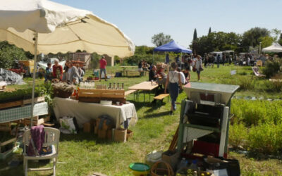 Fête des plantes et du bien  être