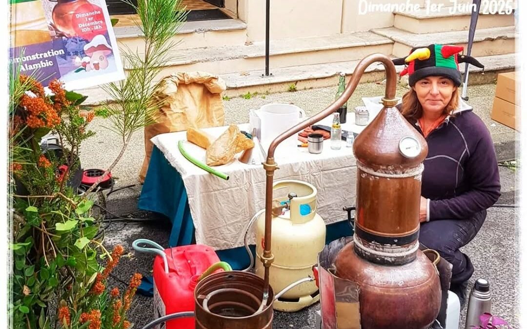 Fête médiévale de Sommières