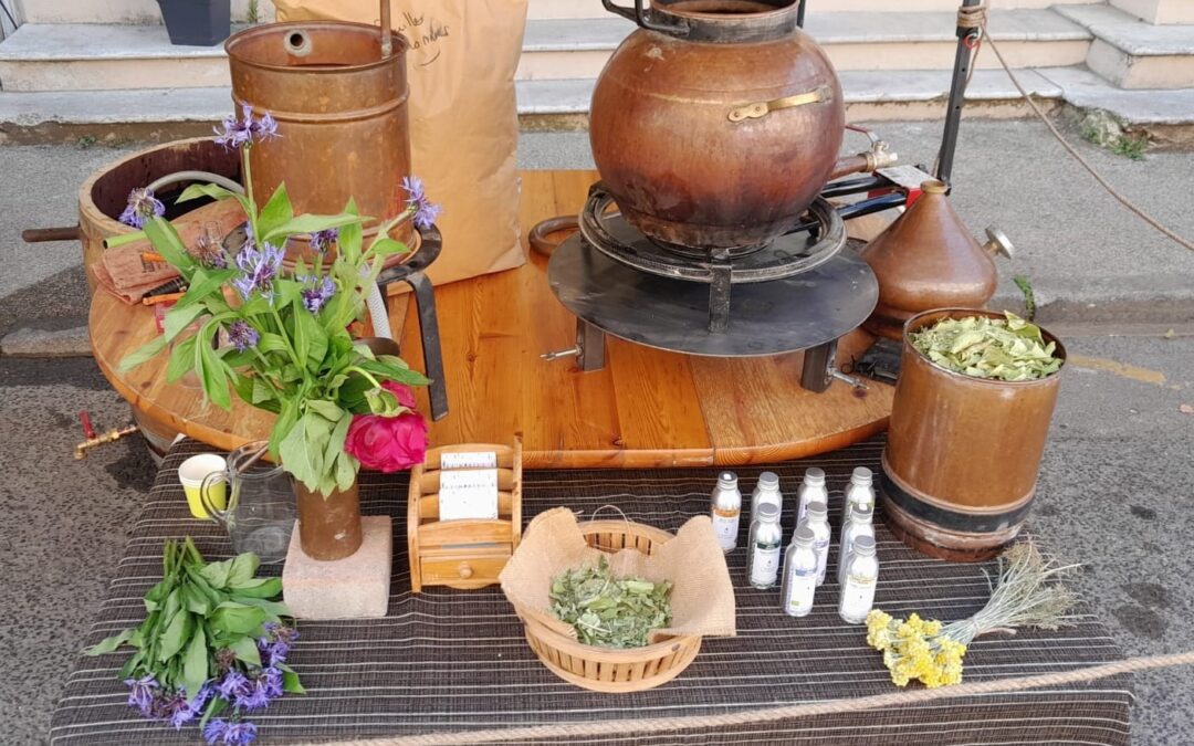 Micro distillation de plantes aromatiques